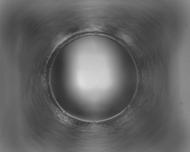 X0000060571308200511031259