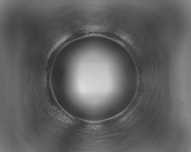 X0000060571309200511031259