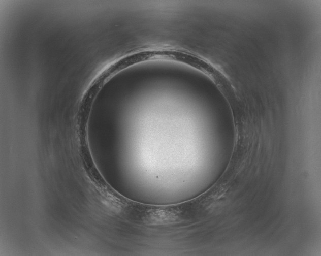 X0000060571311200511031259