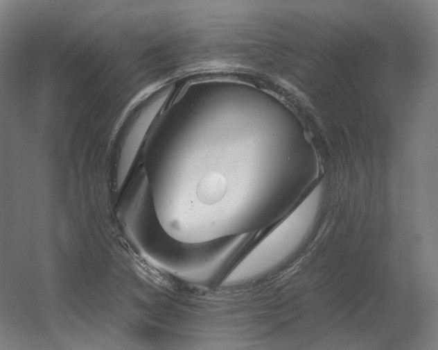 X0000060571314200511031259