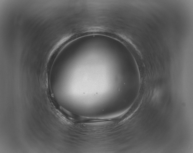 X0000060571317200511031259