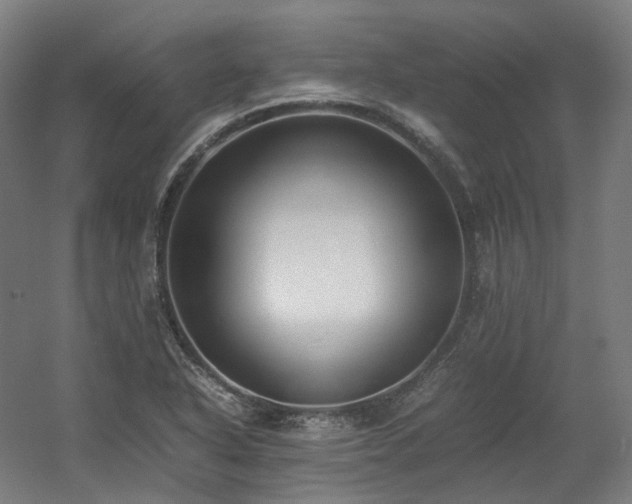 X0000060571318200511031259