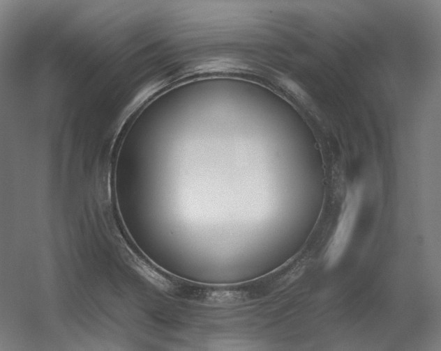 X0000060571322200511031259