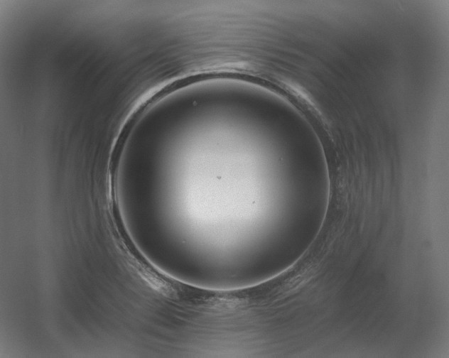 X0000060571324200511031259