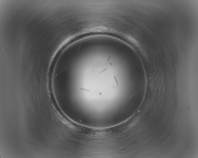 X0000060571326200511031259