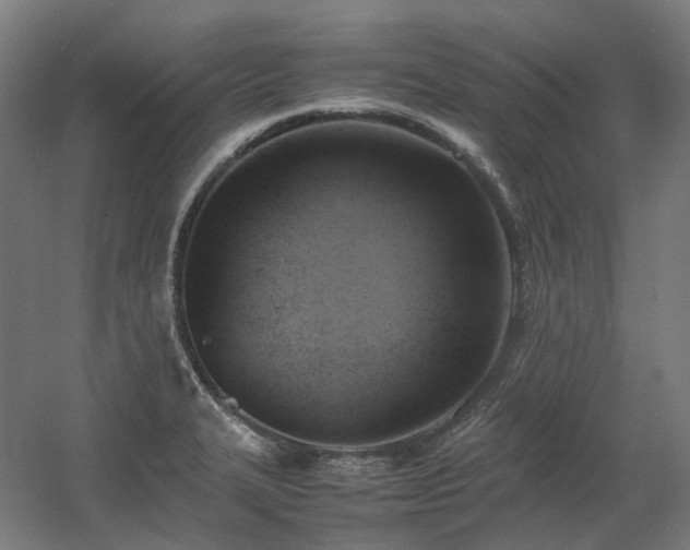 X0000060571327200511031259