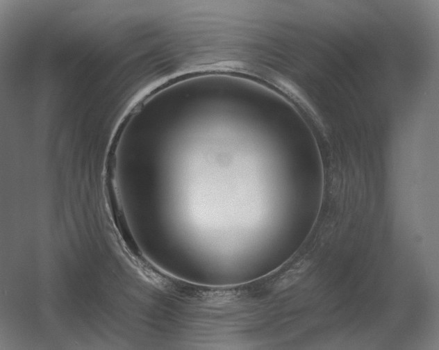 X0000060571332200511031259