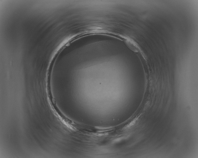 X0000060571333200511031259