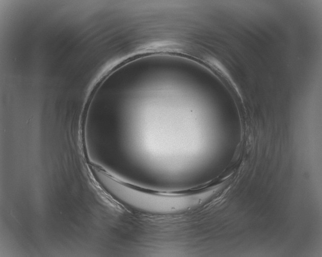 X0000060571336200511031259