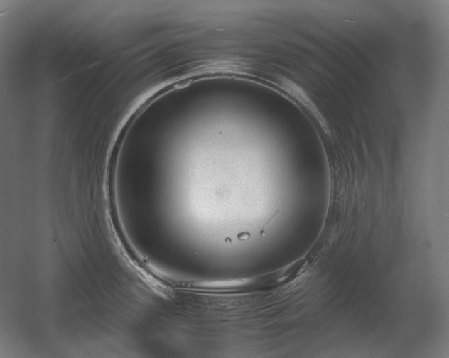 X0000060571339200511031259