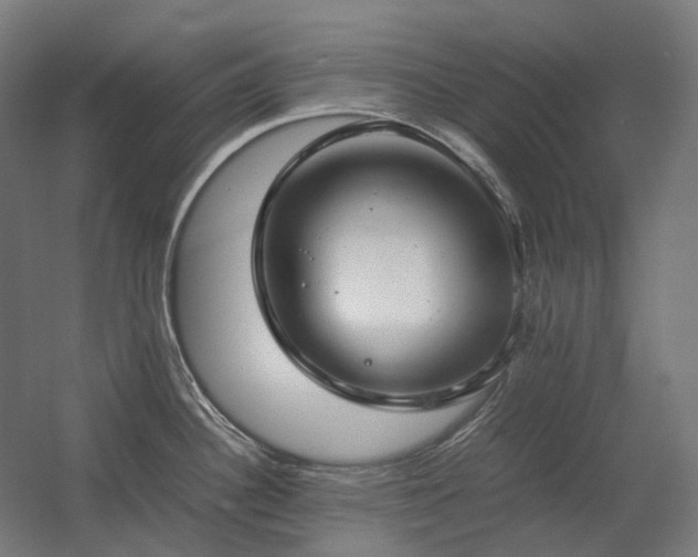 X0000060571340200511031259