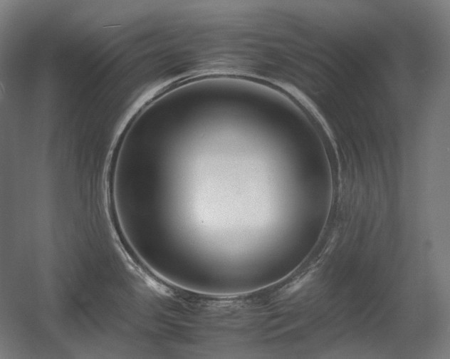 X0000060571341200511031259