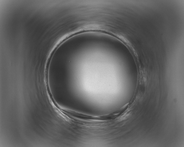 X0000060571342200511031259