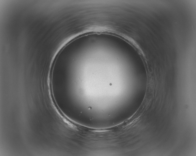 X0000060571343200511031259