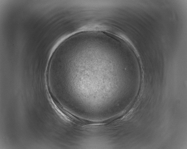X0000060571344200511031259
