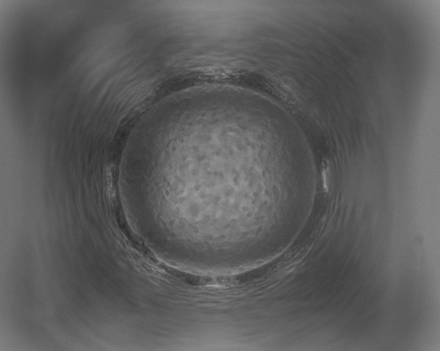 X0000060571347200511031258