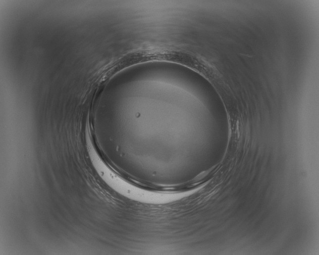 X0000060571348200511031258