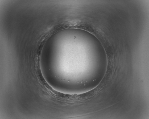 X0000060571349200511031258