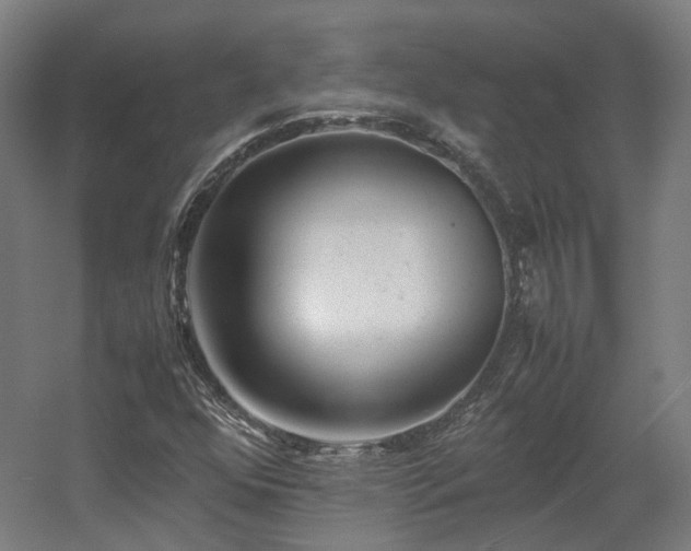 X0000060571352200511031258