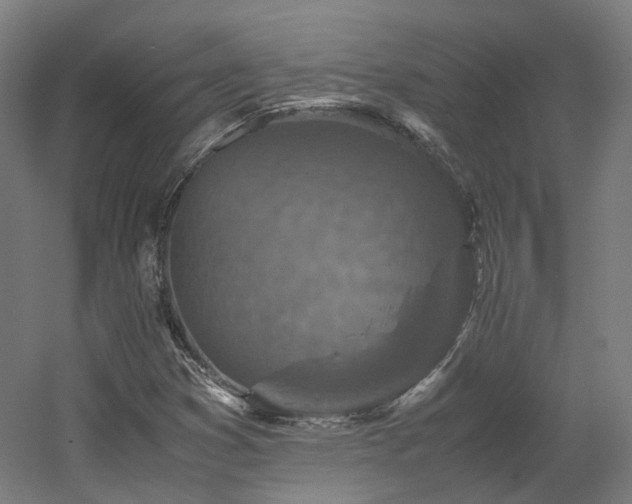 X0000060571353200511031258
