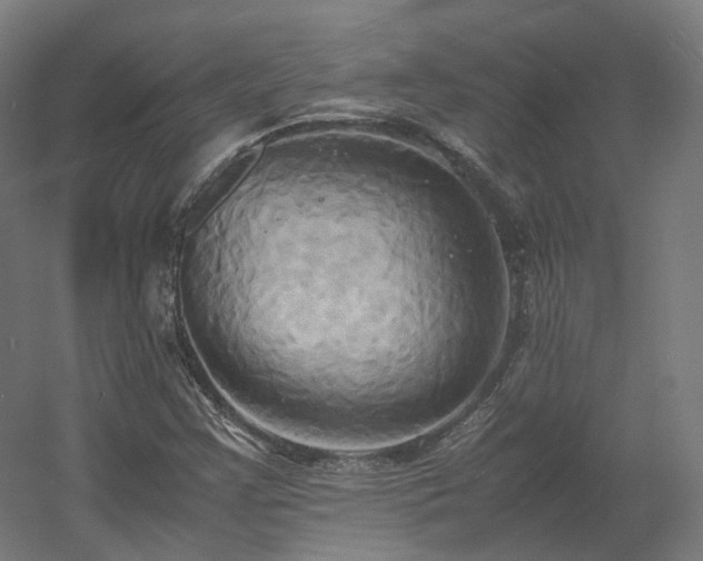 X0000060571355200511031258