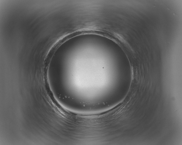 X0000060571356200511031258