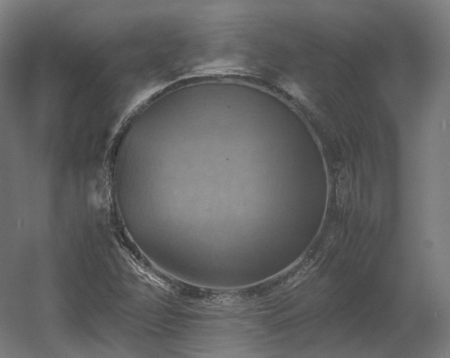 X0000060571358200511031258