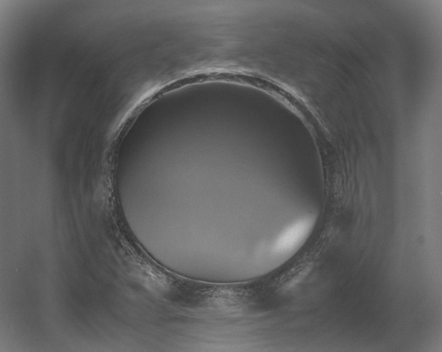 X0000060571359200511031258