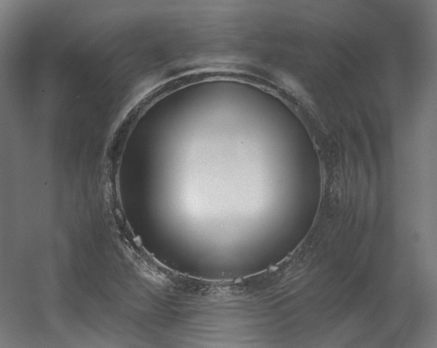 X0000060571360200511031258