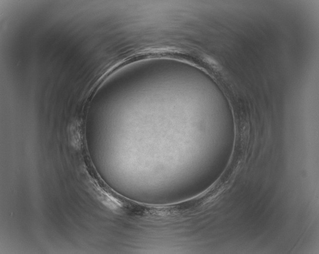 X0000060571361200511031258