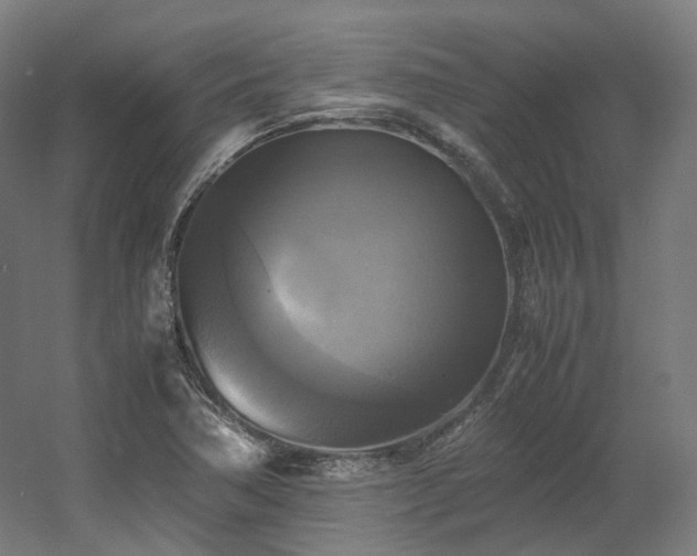 X0000060571362200511031258