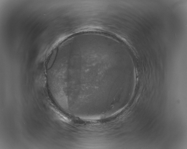X0000060571363200511031258