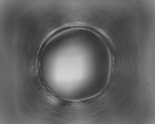 X0000060571364200511031258
