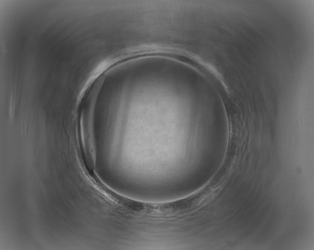 X0000060571365200511031258