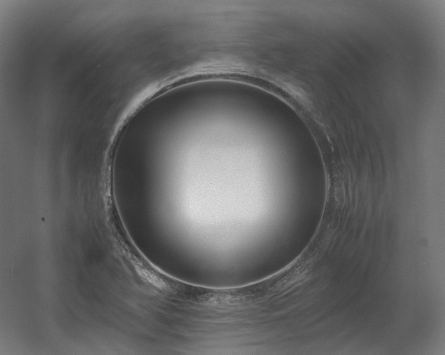 X0000060571366200511031258