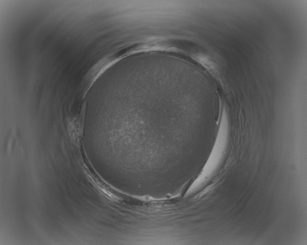 X0000060571369200511031258