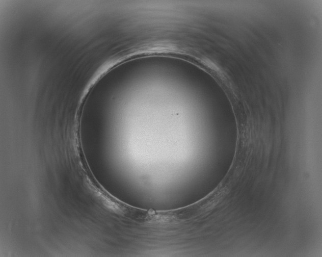 X0000060571374200511031258