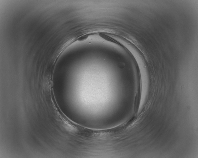 X0000060571377200511031258