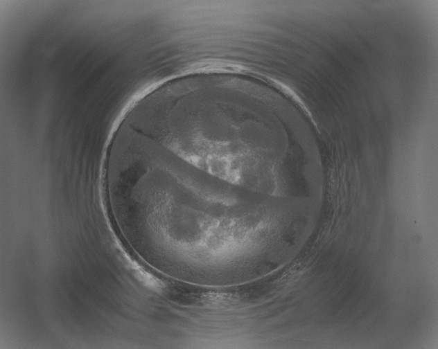 X0000060571379200511031258