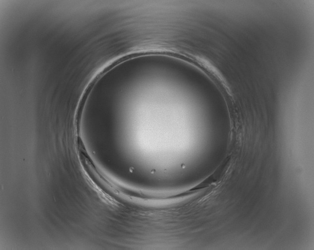 X0000060571380200511031258