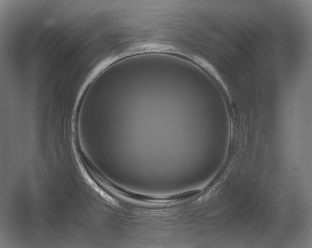 X0000060571381200511031258