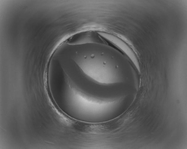 X0000060571383200511031258
