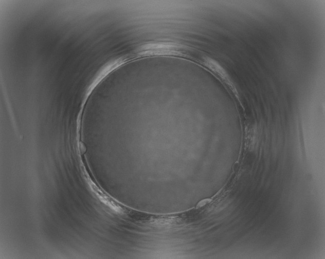 X0000060571386200511031258
