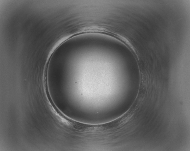 X0000060571387200511031258