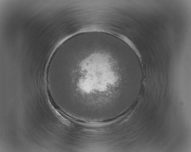 X0000060571388200511031258