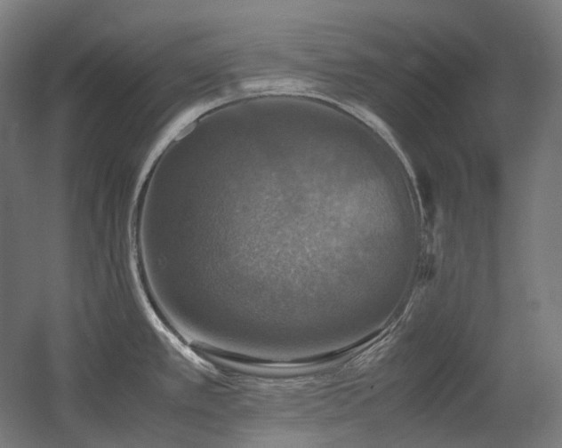 X0000060571389200511031258