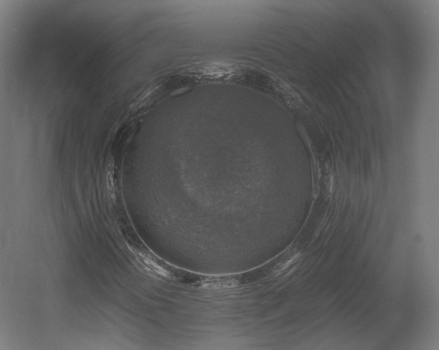 X0000060571394200511031257