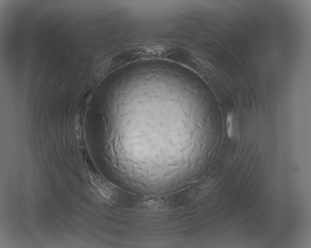 X0000060571395200511031257