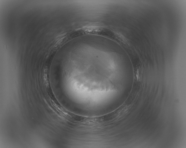 X0000060571396200511031257