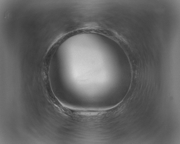 X0000060571400200511031257
